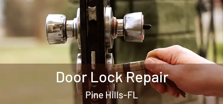  Door Lock Repair Pine Hills-FL