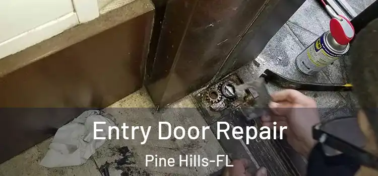  Entry Door Repair Pine Hills-FL