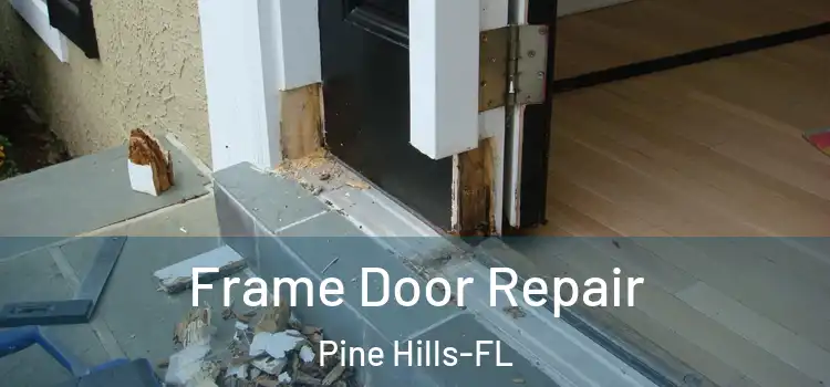  Frame Door Repair Pine Hills-FL