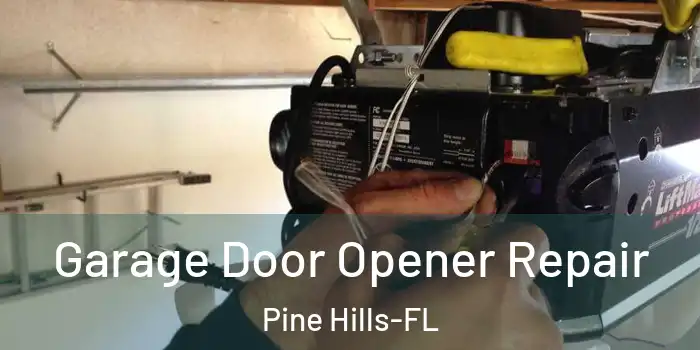  Garage Door Opener Repair Pine Hills-FL