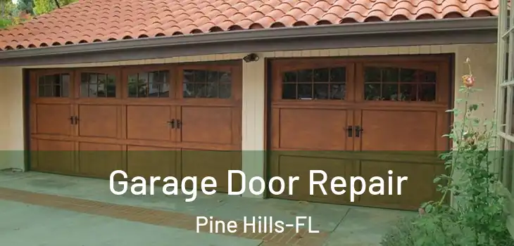 Garage Door Repair Pine Hills-FL