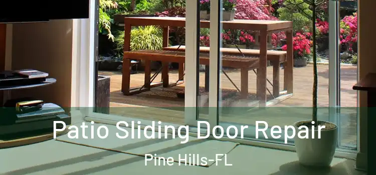  Patio Sliding Door Repair Pine Hills-FL
