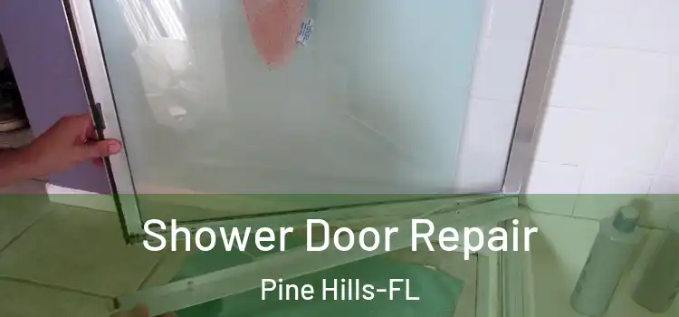 Shower Door Repair Pine Hills-FL